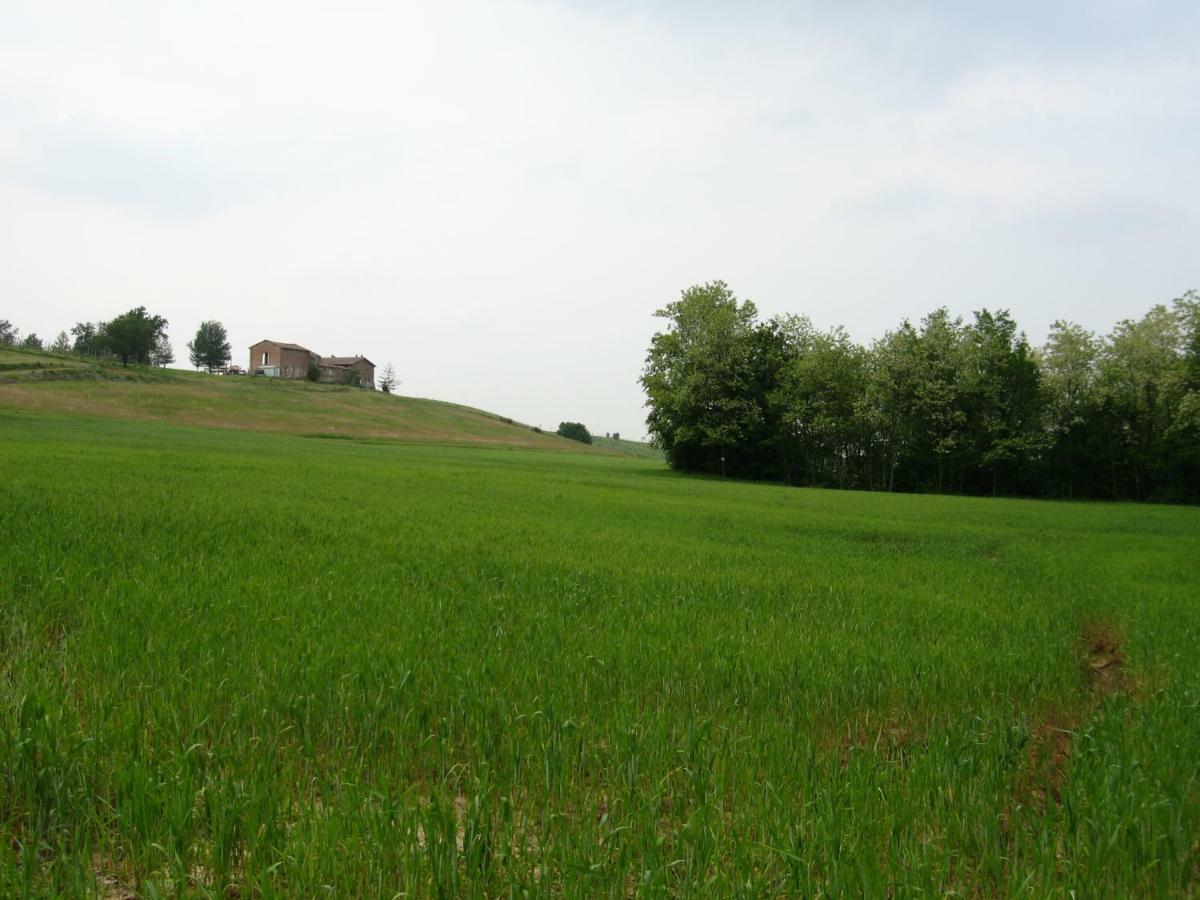 San Giorgio Piacentino Agriturismo Ca' Preda 빌라 외부 사진